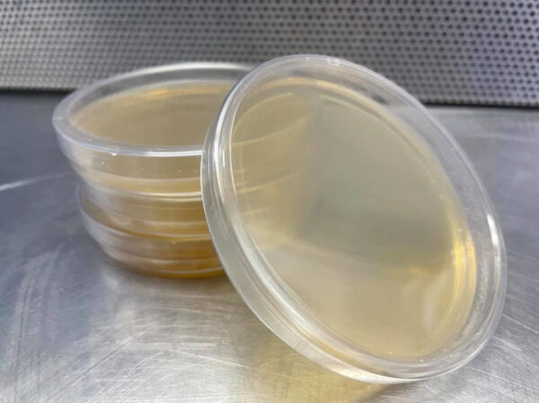 Lab Accessory - Agar Plates