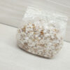 Colonized Grain Spawn - One Pound Bag (PREORDER: 1-4 Weeks)