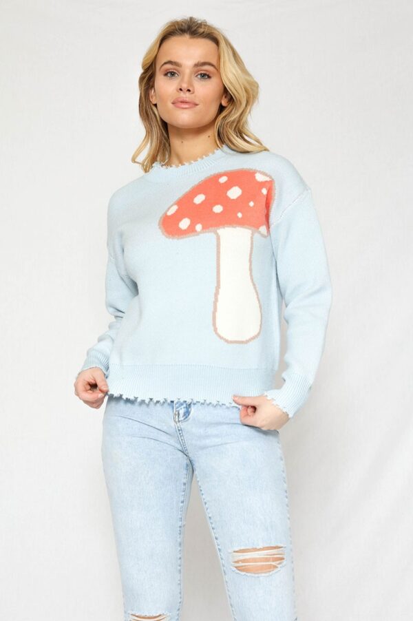 Limited Edition! Sweater, Blue with Red and White Mushroom