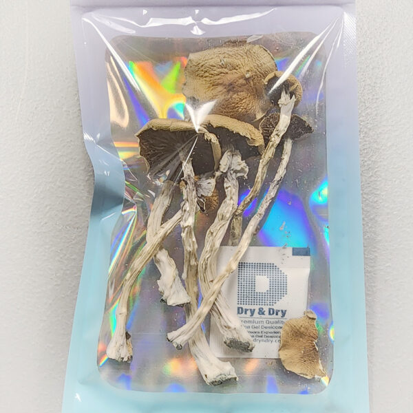 LIMITED EDITION! Mushroom Strain: Be Positive - B+ (4 Grams)