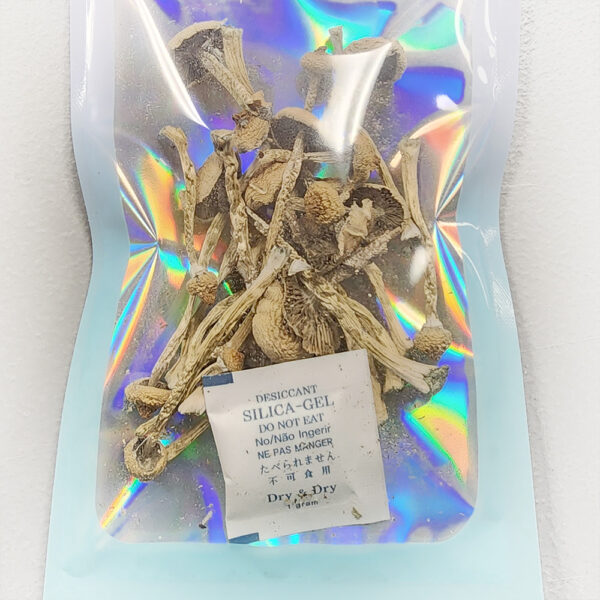 LIMITED EDITION! Mushroom Strain: Golden Teacher (4 Grams)