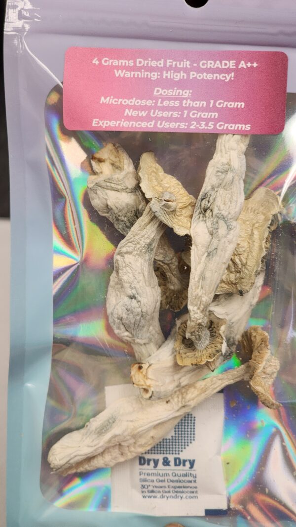 LIMITED EDITION! Mushroom Strain: Albino Makilla Gorilla (4 Grams)