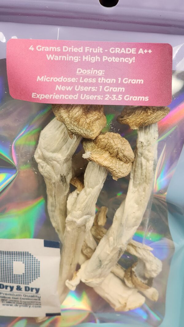 LIMITED EDITION! Mushroom Strain: DC Mak (4 Grams)