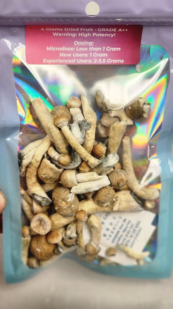 LIMITED EDITION! Mushroom Strain: P*nis Envy, Freeze Dried (4 Grams)