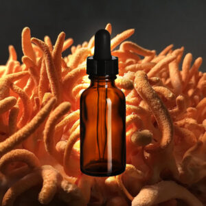Cordyceps Energy Tincture