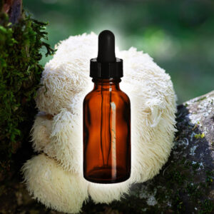 Lion's Mane Focus Tincture